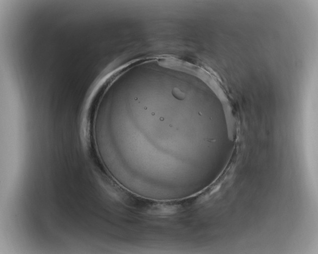 X0000115560343200911131631