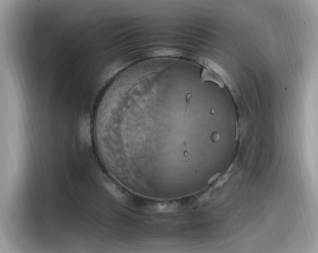 X0000115560345200911131631