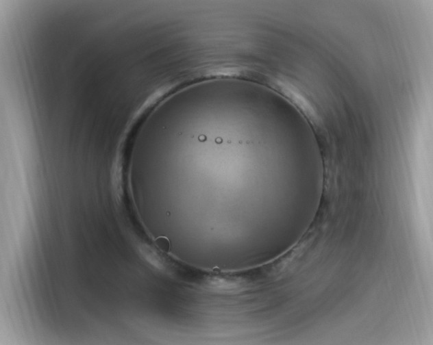 X0000115560346200911131631