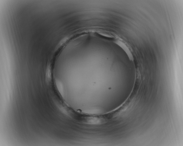 X0000115560347200911131631