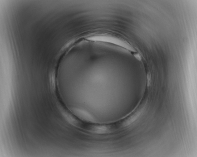 X0000115560349200911131631