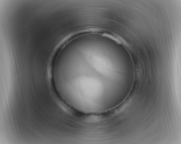 X0000115560350200911131631