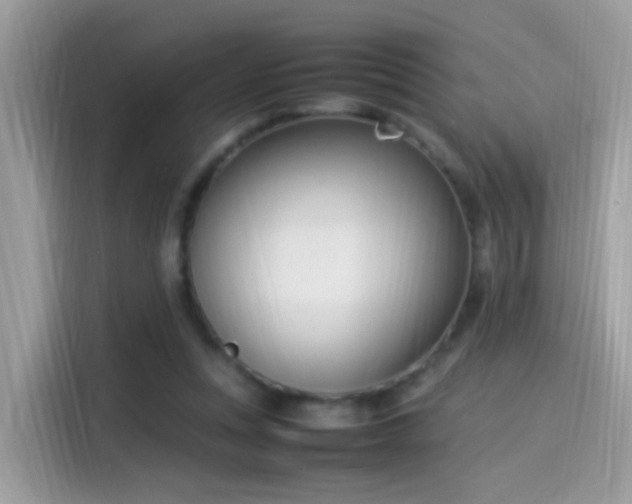 X0000115560351200911131631