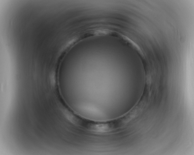 X0000115560353200911131631