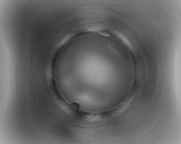 X0000115560354200911131631