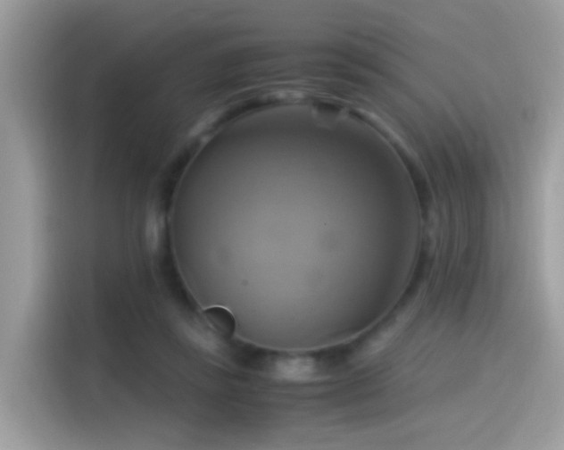 X0000115560355200911131631