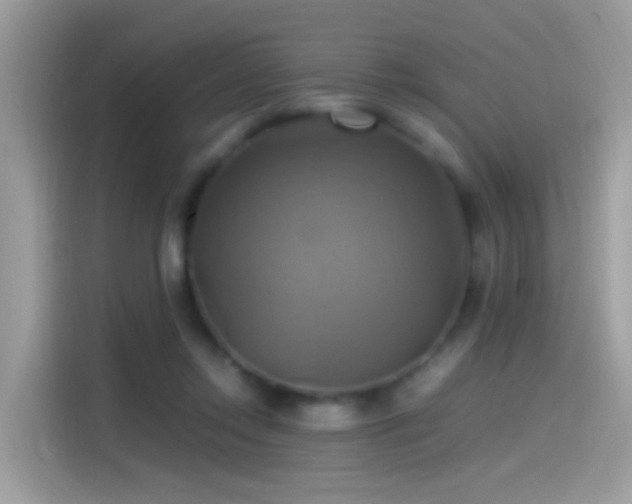 X0000115560358200911131631