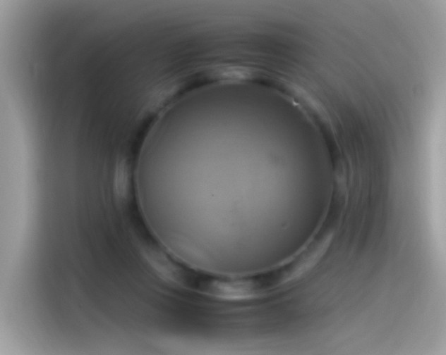 X0000115560359200911131631