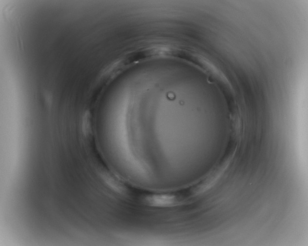 X0000115560361200911131631