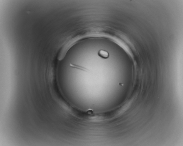 X0000115560362200911131631