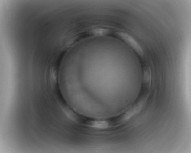 X0000115560363200911131631