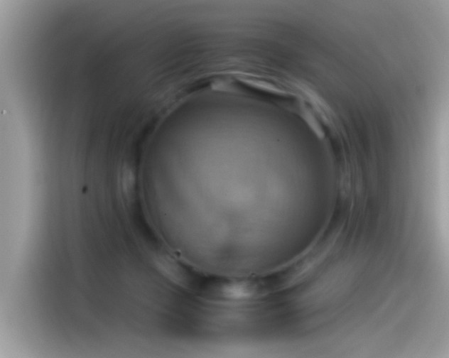 X0000115560365200911131632