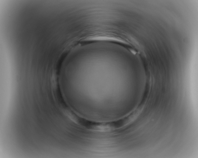 X0000115560366200911131632