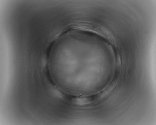 X0000115560367200911131632