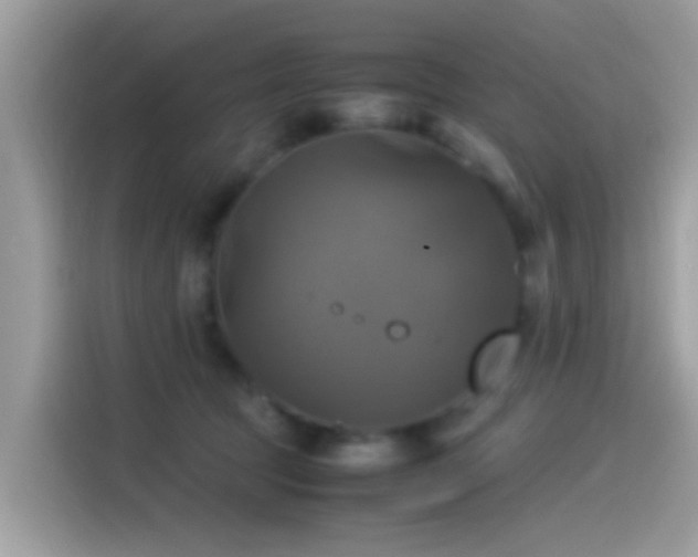 X0000115560369200911131632