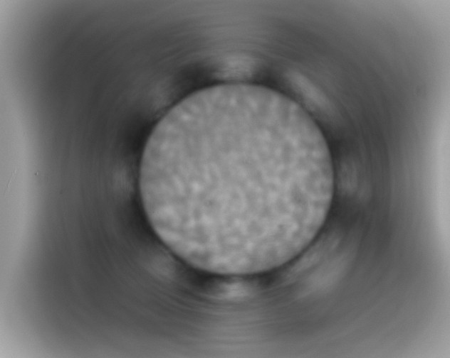 X0000115560370200911131632