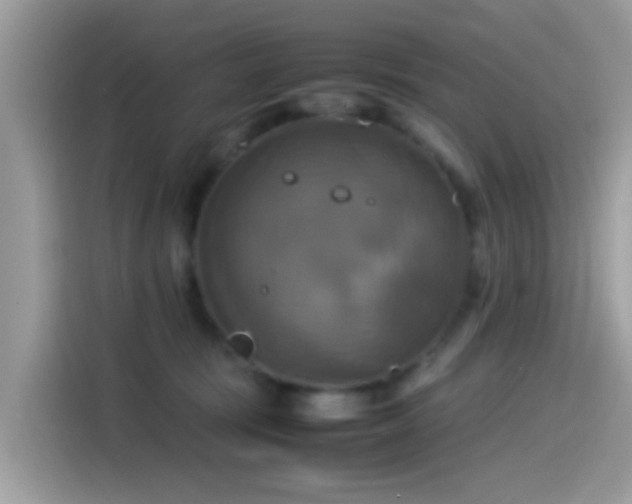 X0000115560371200911131632