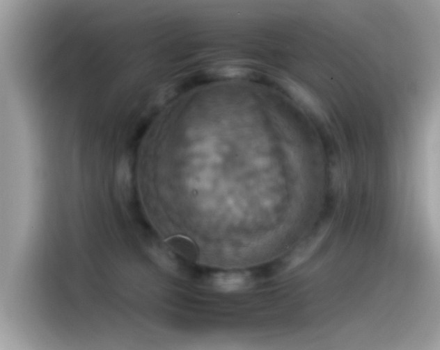 X0000115560373200911131632