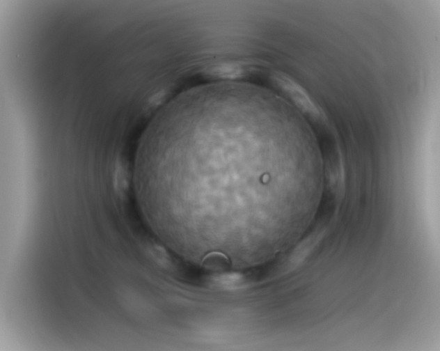 X0000115560374200911131632