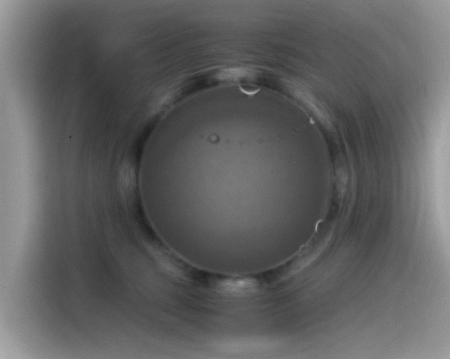 X0000115560375200911131632