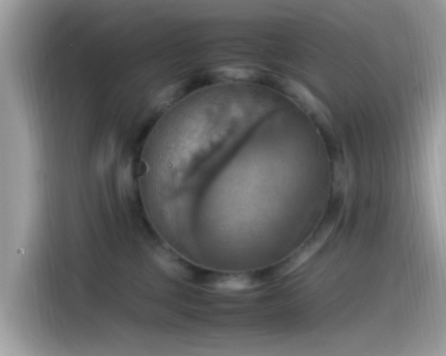 X0000115560377200911131632