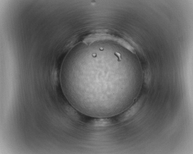 X0000115560378200911131632