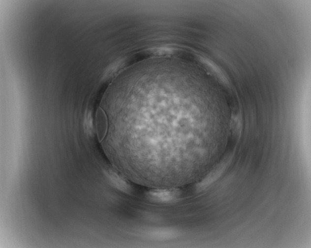 X0000115560381200911131632