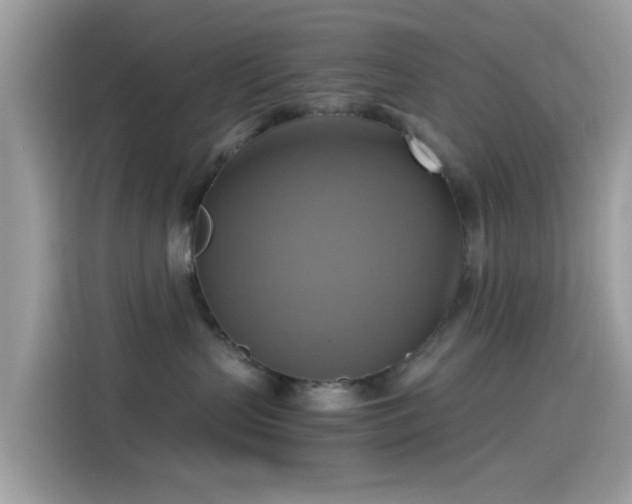 X0000115560383200911131632