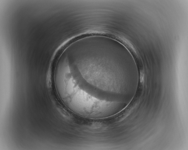 X0000115560388200911131631