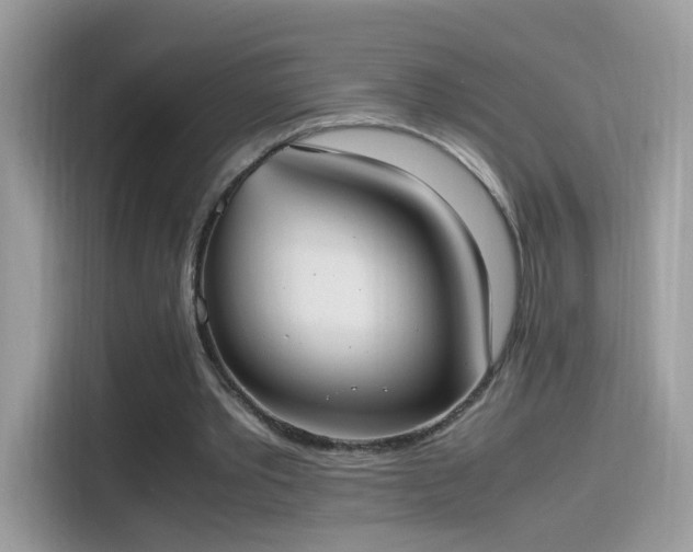 X0000115560389200911131631