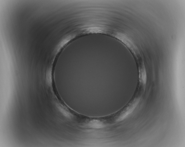 X0000115560390200911131631