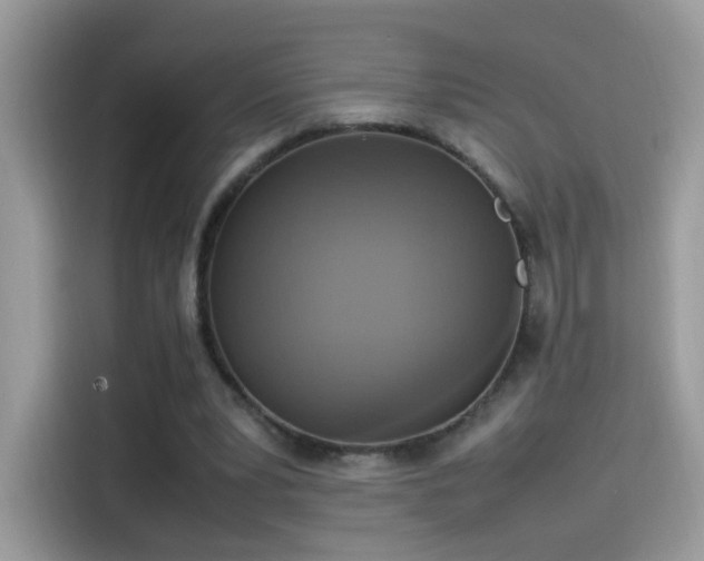 X0000115560391200911131631