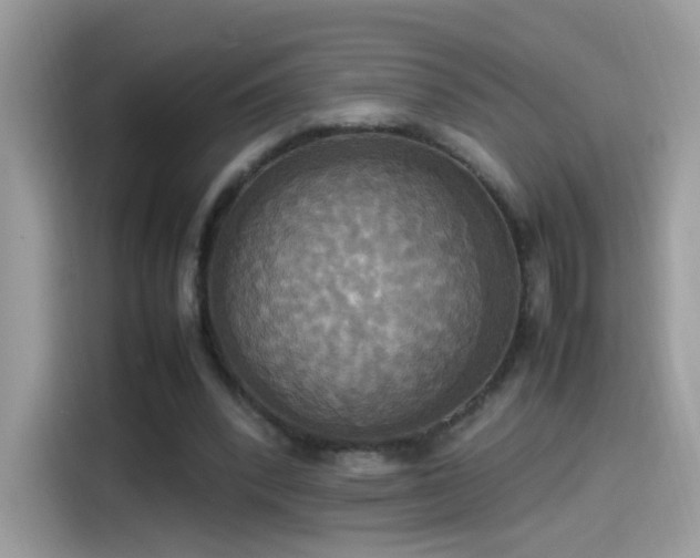 X0000115560392200911131631