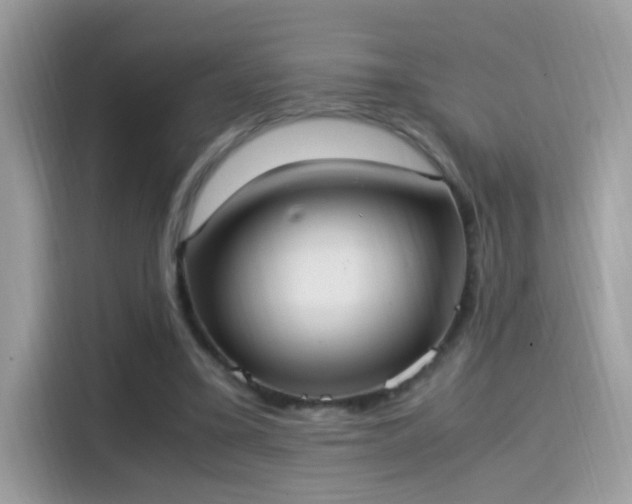 X0000115560395200911131631