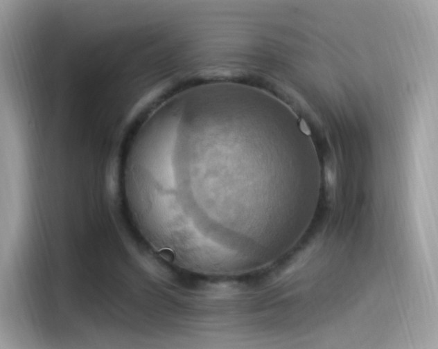 X0000115560396200911131631