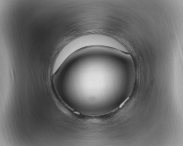 X0000115560397200911131631