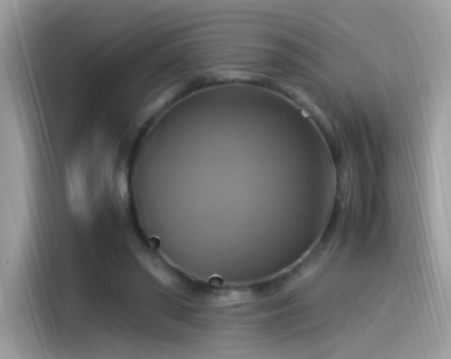 X0000115560398200911131631