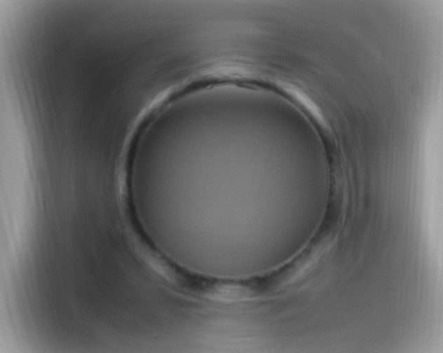 X0000115560399200911131631