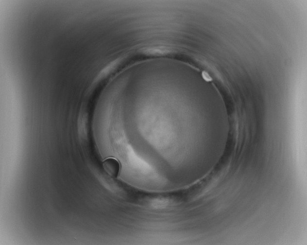 X0000115560400200911131631