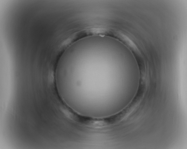 X0000115560401200911131631