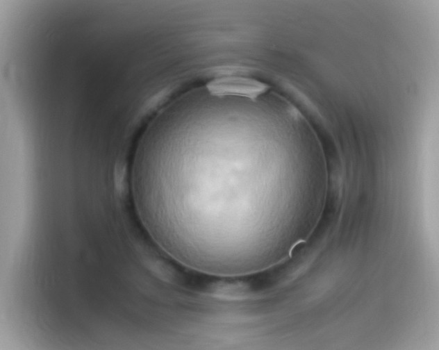 X0000115560403200911131631