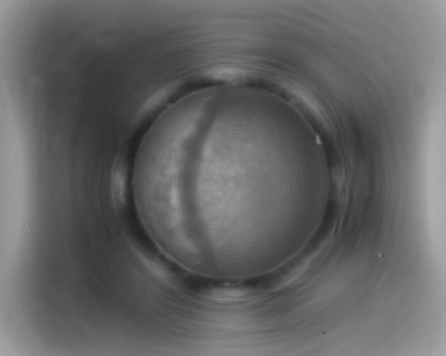 X0000115560404200911131631