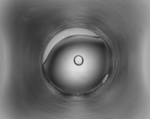 X0000115560405200911131631