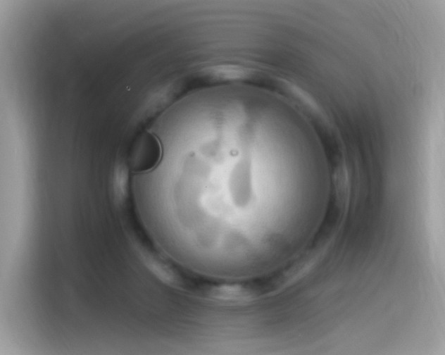 X0000115560406200911131631