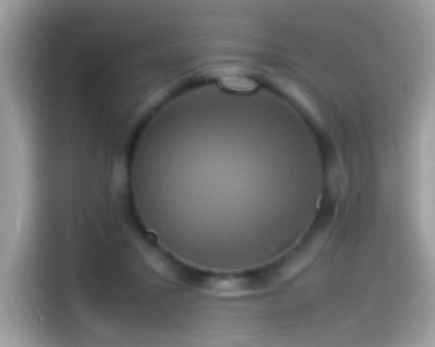 X0000115560407200911131631