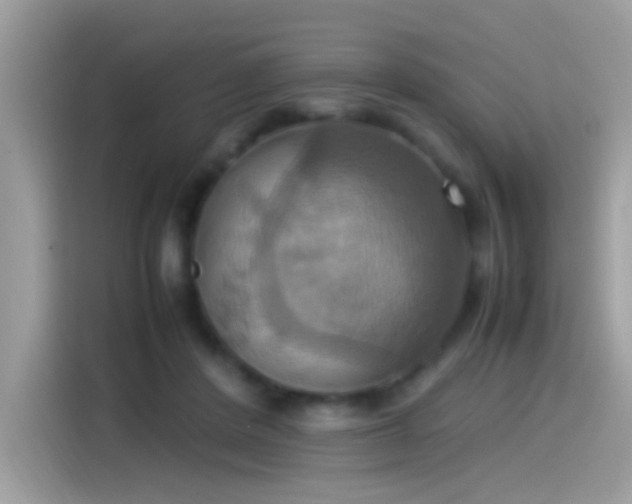 X0000115560408200911131631