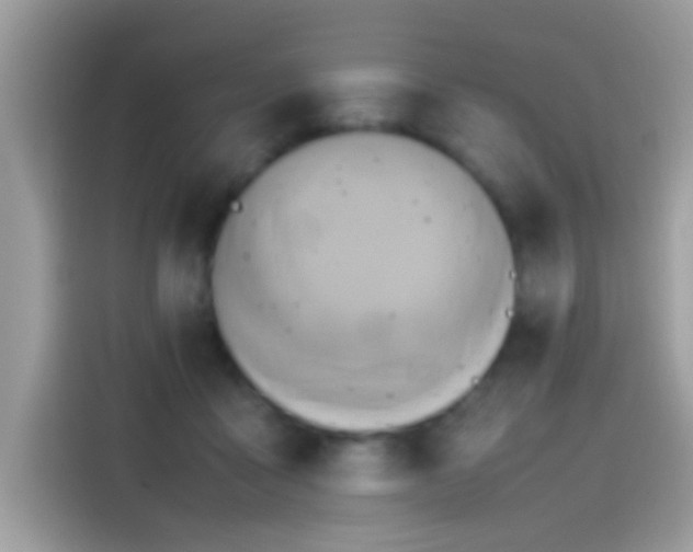 X0000115560411200911131631