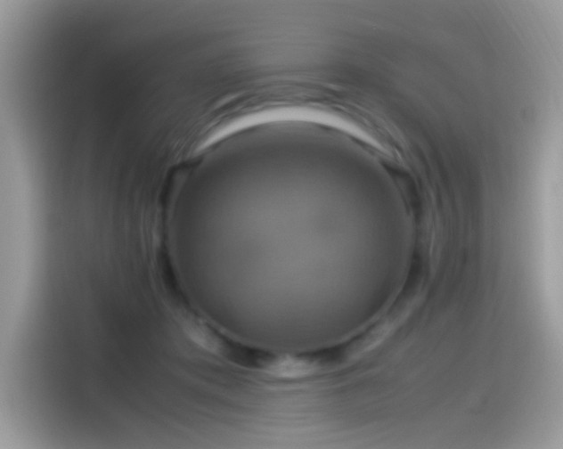 X0000115560413200911131631