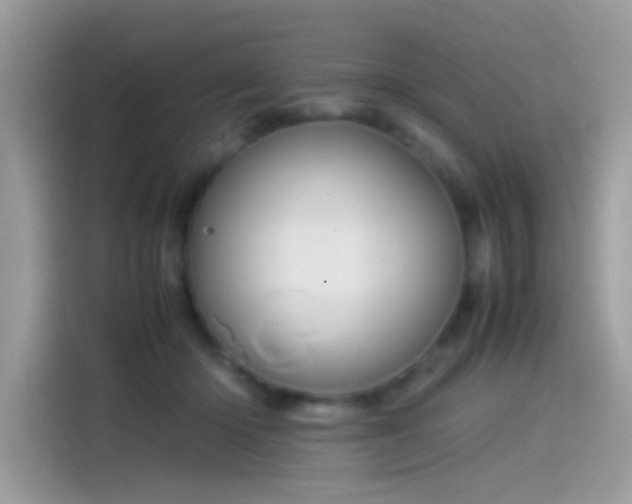 X0000115560414200911131631