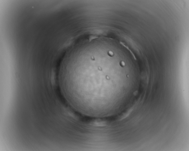 X0000115560416200911131631